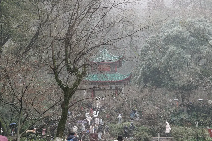 枯木掩映下的爱晚亭，可以想见“看万山红遍，层林尽染”的美景